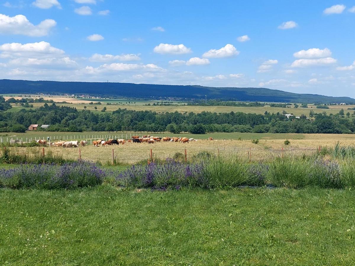 فيلا Panorama House Brdy Příbram المظهر الخارجي الصورة